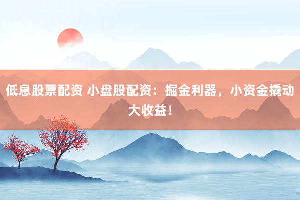 低息股票配资 小盘股配资：掘金利器，小资金撬动大收益！