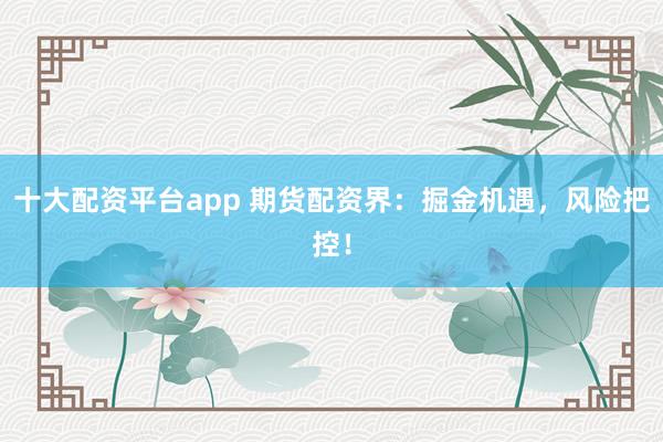 十大配资平台app 期货配资界：掘金机遇，风险把控！