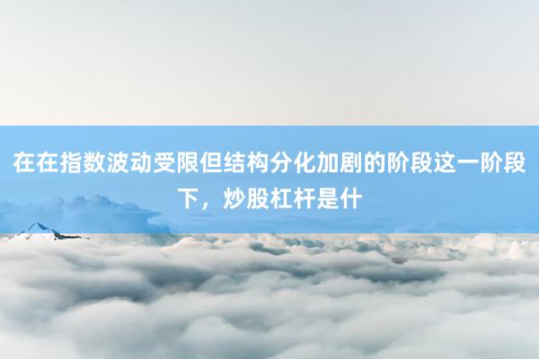 在在指数波动受限但结构分化加剧的阶段这一阶段下，炒股杠杆是什