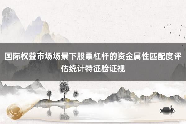 国际权益市场场景下股票杠杆的资金属性匹配度评估统计特征验证视