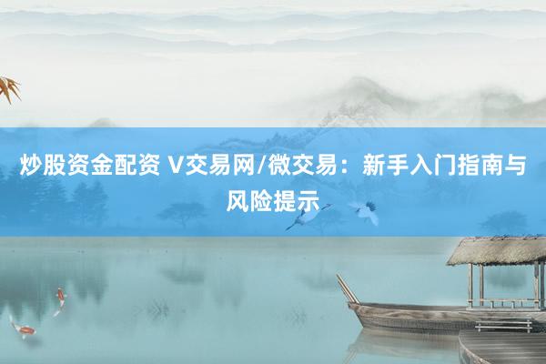 炒股资金配资 V交易网/微交易:新手入门指南与风险提示