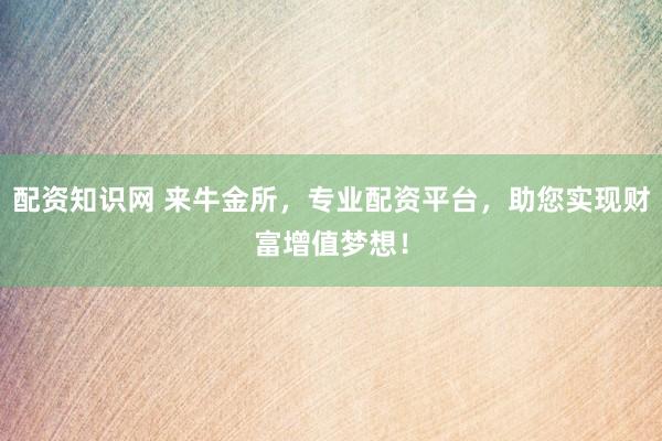 配资知识网 来牛金所，专业配资平台，助您实现财富增值梦想！