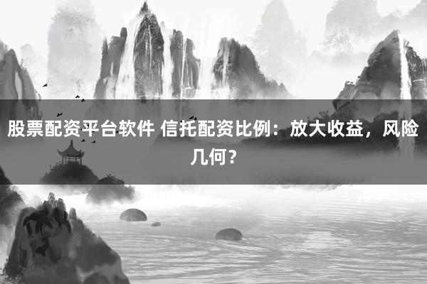 股票配资平台软件 信托配资比例：放大收益，风险几何？
