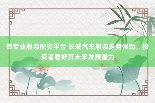 最专业股票配资平台 长城汽车股票走势强劲，投资者看好其未来发展潜力